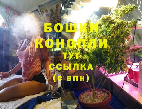 хмурый Бородино