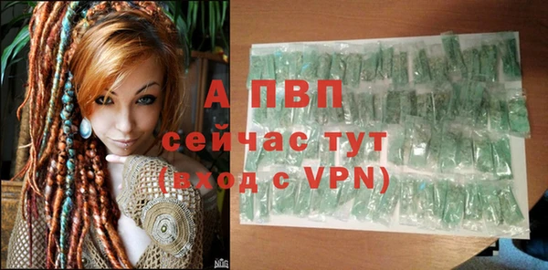 хмурый Бородино