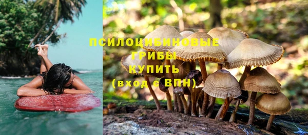 хмурый Бородино