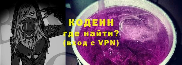 хмурый Бородино